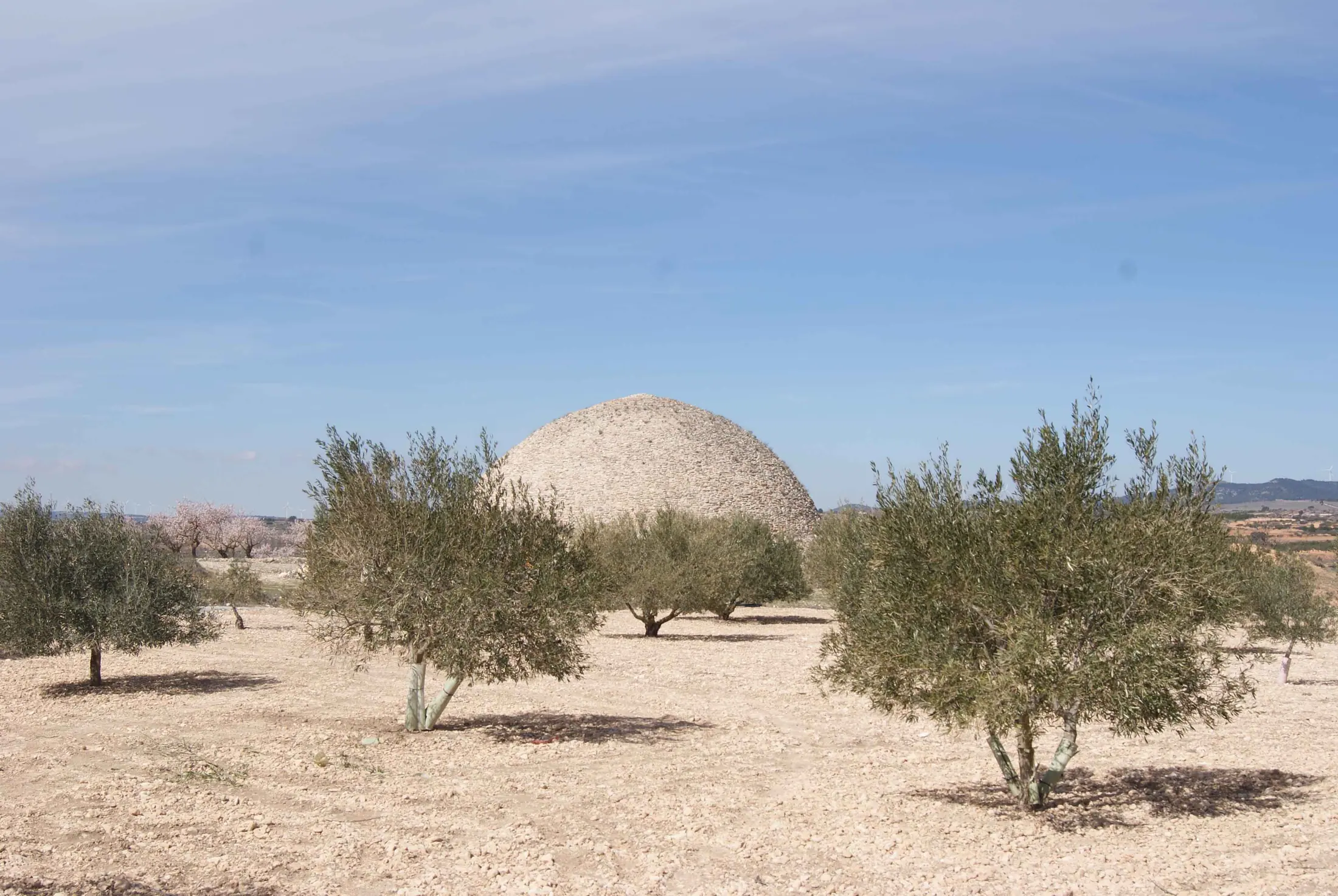 Fortificación histórica entre olivos en el entorno de Alpera